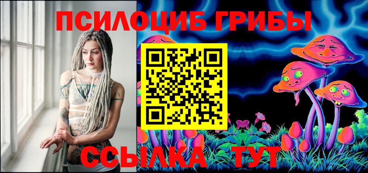 Галлюциногенные грибы Cubensis Ленинск-Кузнецкий